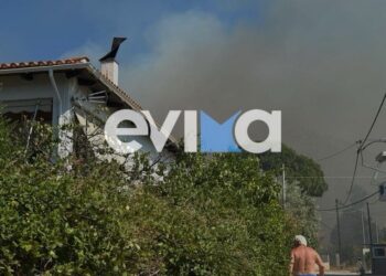 Πυκνός καπνός κοντά σε σπίτια στον Αλμυροπόταμο (φωτ.: evima.gr)