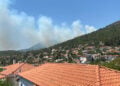 Καπνός από τη φωτιά στις Ερυθρές (φωτ.: Facebook / Πυρκαγιά Ενημέρωση / Ανθή Κώνστα)