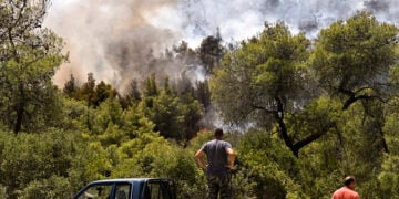 Εθελοντές βοηθούν στην κατάσβεση πυρκαγιάς στο Σοφικό Κορινθίας (φωτ.: ΑΠΕ-ΜΠΕ / Βασίλης Ψωμάς)