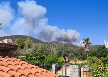 Καπνός από τη φωτιά στο Σοφικό Κορινθίας (φωτ.: Facebook / Πυρκαγιά Ενημέρωση / Panagiotis Firefighter)