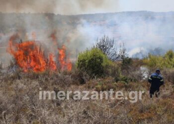 Φλόγες στον Αγαλά στη Ζάκυνθο (φωτ.: imerazante.gr)