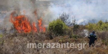 Φλόγες στον Αγαλά στη Ζάκυνθο (φωτ.: imerazante.gr)