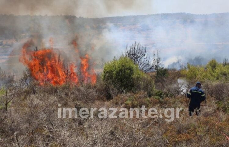 Φλόγες στον Αγαλά στη Ζάκυνθο (φωτ.: imerazante.gr)