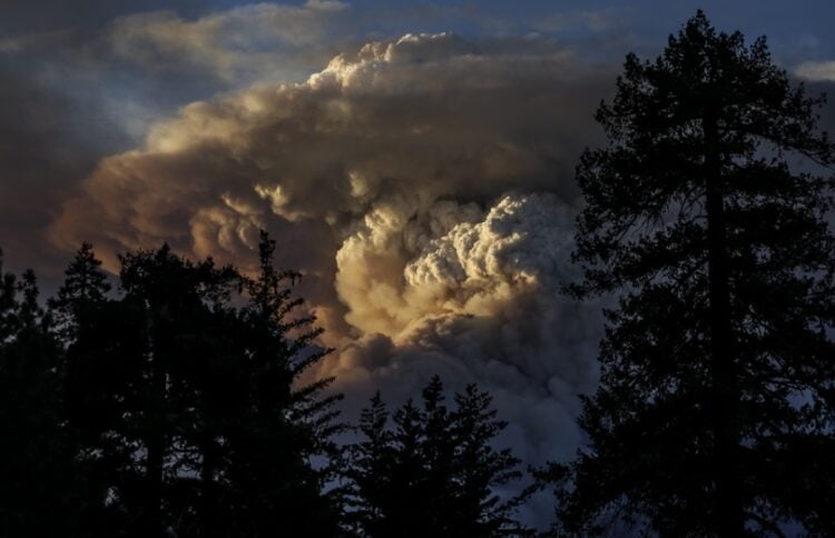Καπνός υψώνεται στην επαρχεία Μπιούτ, καθώς η πυρκαγιά «Park Fire» κατακαίει την Καλιφόρνια (φωτ.: EPA/John G. Mabanglo)