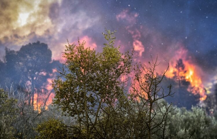Δασική πυρκαγιά στην Κορινθία (φωτ. αρχείου: EUROKINISSI/Βασίλης Ψωμάς)
