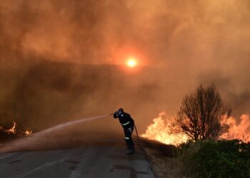 Πυροσβέστης προσπαθεί να περιορίσει τις φλόγες στην Εύβοια (φωτ.: EUROKINISSI/Μιχάλης Παπαδόπουλος)