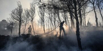 Πυροσβέστες επιχειρούν κατά των τελευταίων μικρών εστιών στη Σταμάτα (φωτ.: EUROKINISSI/Μιχάλης Καραγιάννης)