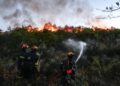 Πυροσβέστες επιχειρούν μέσα σε πευκοδάσος (φωτ.: EUROKINISSI/Μιχάλης Καραγιάννης)