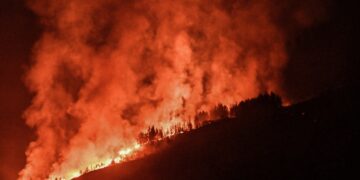 Στη Στιμάγκα της Κορινθίας κάηκαν πολλές καλλιεργήσιμες εκτάσεις (φωτ.: EUROKINISSI/Βασίλης Ψωμάς)