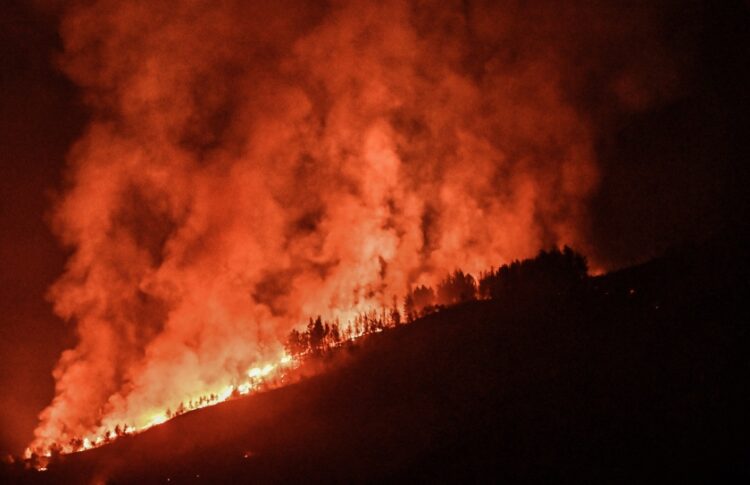 Στη Στιμάγκα της Κορινθίας κάηκαν πολλές καλλιεργήσιμες εκτάσεις (φωτ.: EUROKINISSI/Βασίλης Ψωμάς)