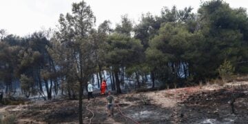 Πυροσβέστες επιθεωρούν το σημείο όπου ξέσπασε η φωτιά στα Γλυκά Νερά φωτ.: EUROKINISSI/Σωτήρης Δημητρόπουλος)