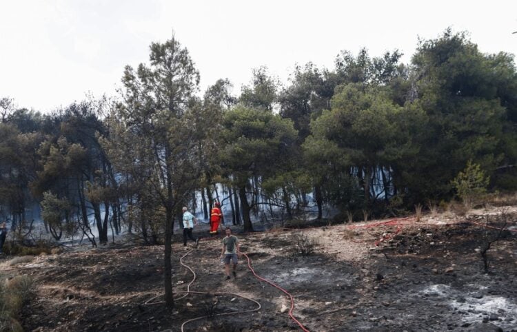 Πυροσβέστες επιθεωρούν το σημείο όπου ξέσπασε η φωτιά στα Γλυκά Νερά φωτ.: EUROKINISSI/Σωτήρης Δημητρόπουλος)