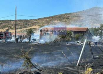 Στις φλόγες παραδόθηκε ο στάβλος και ο εξωτερικός του χώρος στο βιομηχανικό πάρκο του Άργους Ορεστικού (φωτ.: ertnews.gr)