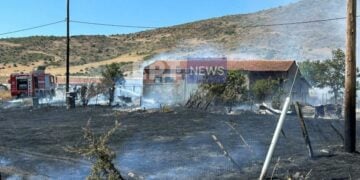 Στις φλόγες παραδόθηκε ο στάβλος και ο εξωτερικός του χώρος στο βιομηχανικό πάρκο του Άργους Ορεστικού (φωτ.: ertnews.gr)