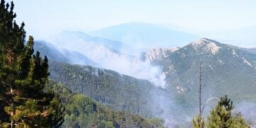 Η φωτιά έχει περάσει πλέον σε βουλγαρικό έδαφος (φωτ.: facebook/Югозападно държавно предприятие ДП)