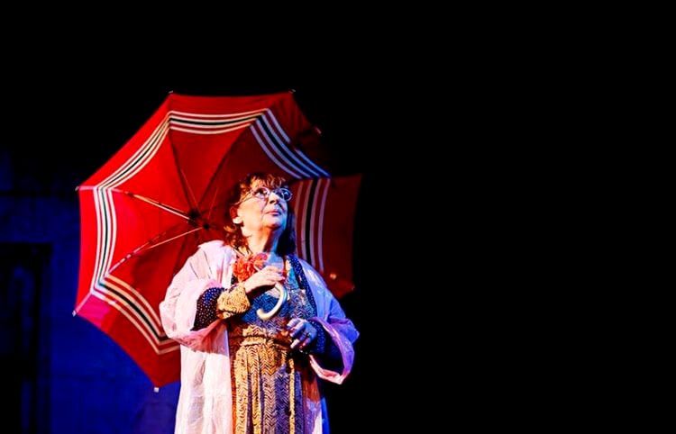 Η Άννα Παναγιωτοπούλου στην πρεμιέρα του θεατρικού «Το μπουφάν της Χάρλεϊ, ή πάλι καλά», στο Θέατρο Χορν το 2009 (φωτ.: EUROKINISSI / Κώστας Κατωμέρης)