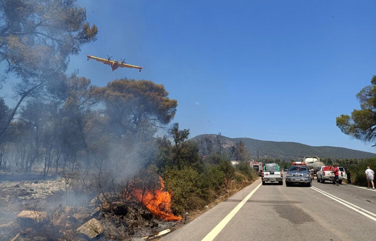 Πυροσβεστικό αεροσκάφος επιχειρεί στην περιοχή Άγιος Βλάσης στο Σοφικό Κορινθίας (φωτ.: ΑΠΕ-ΜΠΕ / Βασίλης Ψωμάς)