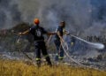 Από την πυρκαγιά στο Σοφικό (φωτ.: EUROKINISSI / Βασίλης Ψωμάς)
