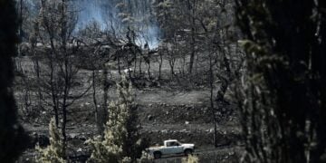 Καμένα δέντρα που εξακολουθούν να καπνίζουν στην Αττική (φωτ.: EUROKINISSI/Κώστας Τζούμας)