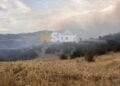 Ο καπνός είναι από τη φωτιά στον Δομοκό, κοντά στο χωριό Κορομηλιά (πηγή: tvStar)