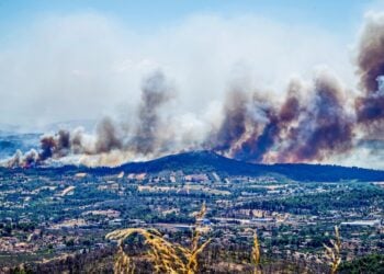 Αποκαρδιωτικές εικόνες από τις καμένες εκτάσεις στην Αττική (φωτ.: EUROKINISSI/Νίκη Πατεράκη)