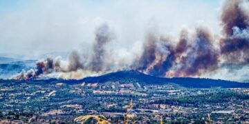 Αποκαρδιωτικές εικόνες από τις καμένες εκτάσεις στην Αττική (φωτ.: EUROKINISSI/Νίκη Πατεράκη)