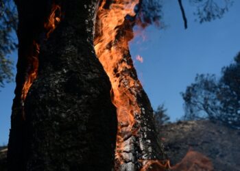 (Φωτ. αρχείου: EUROKINISSI/Τατιάνα Μπόλαρη)