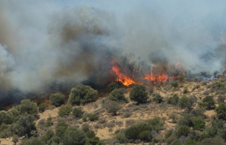 Στις φλόγες έχει παραδοθεί η περιοχή της Αγίας Παρασκευής (φωτ.: ΑΠΕ-ΜΠΕ/Νίκος Χαλκιαδάκης)