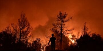 Στις φλόγες έχει παραδοθεί δασική περιοχή στον Βαρνάβα (φωτ.: EUROKINISSI/Μιχάλης Καραγιάννης)