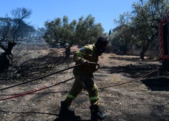 Πυροσβέστης επιχειρεί στη διάρκεια δασικής πυρκαγιάς (φωτ.: EUROKINISSI/Τατιάνα Μπόλαρη)