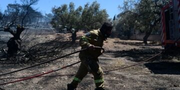 Πυροσβέστης επιχειρεί στη διάρκεια δασικής πυρκαγιάς (φωτ.: EUROKINISSI/Τατιάνα Μπόλαρη)