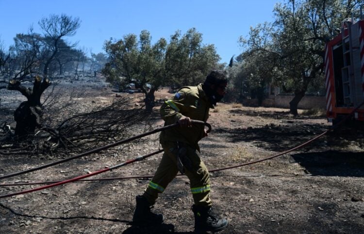 Πυροσβέστης επιχειρεί στη διάρκεια δασικής πυρκαγιάς (φωτ.: EUROKINISSI/Τατιάνα Μπόλαρη)