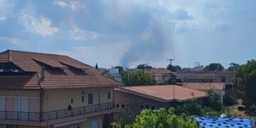 Στο βάθος καπνός από τη φωτιά στην Τανάγρα (φωτ.: Facebook / Πυρκαγιά Ενημέρωση / Γιώργος Κάλλης)