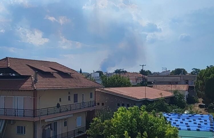 Στο βάθος καπνός από τη φωτιά στην Τανάγρα (φωτ.: Facebook / Πυρκαγιά Ενημέρωση / Γιώργος Κάλλης)