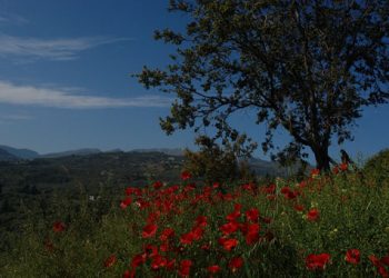 Αίθριος καιρός σήμερα στις περισσότερες περιοχές της χώρας