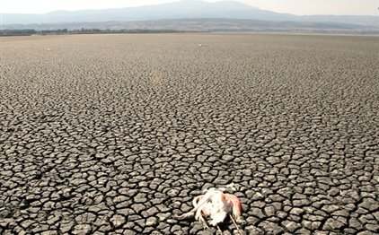 Το Ευρωπαϊκό Δικαστήριο καταδίκασε την Ελλάδα