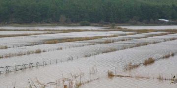 Λέσβος: Η θεομηνία άφησε πίσω της την καταστροφή