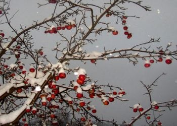 Μάρτιος ή Μάρτης ή για τον Πόντο Μαρτ'ς