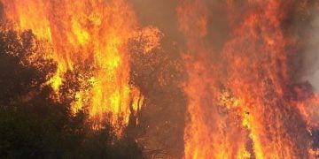 Πυρκαγιές σε Δελφούς, Φάρσαλα, Ροδόπη και Δράμα 3