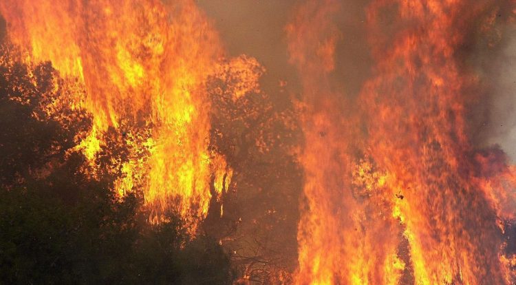 Πυρκαγιές σε Δελφούς, Φάρσαλα, Ροδόπη και Δράμα 3