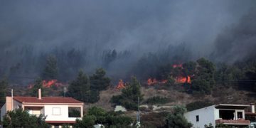 ΕΚΤΑΚΤΟ: Πυρκαγιά στη Φυλή Αττικής