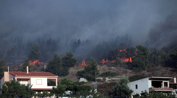 ΕΚΤΑΚΤΟ: Πυρκαγιά στη Φυλή Αττικής