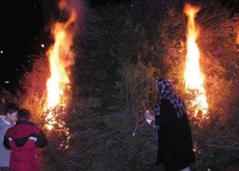 Σάγια: Ένα Μικρασιάτικο έθιμο για τα Θεοφάνεια