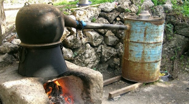 Γιορτή τσικουδιάς σήμερα στα Χανιά