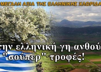 Στην ελληνική γη ανθούν οι σούπερ τροφές