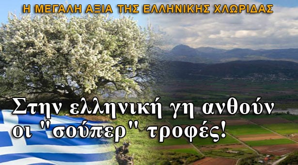 Στην ελληνική γη ανθούν οι σούπερ τροφές