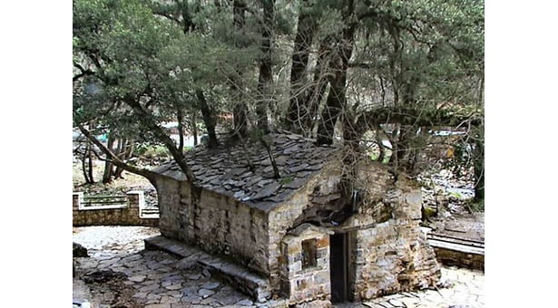 Το μυστήριο με τα δέντρα στη σκεπή της Αγίας Θεοδώρας (ρεπορτάζ)