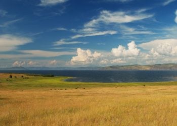 Στις στέπες του Πόντου και της Κασπίας γεννήθηκαν οι ινδοευρωπαϊκές γλώσσες