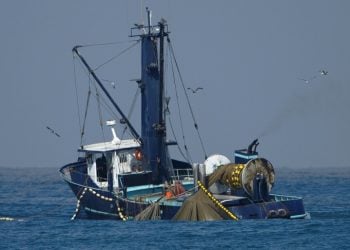 Η υπεραλίευση αδειάζει τη Μεσόγειο