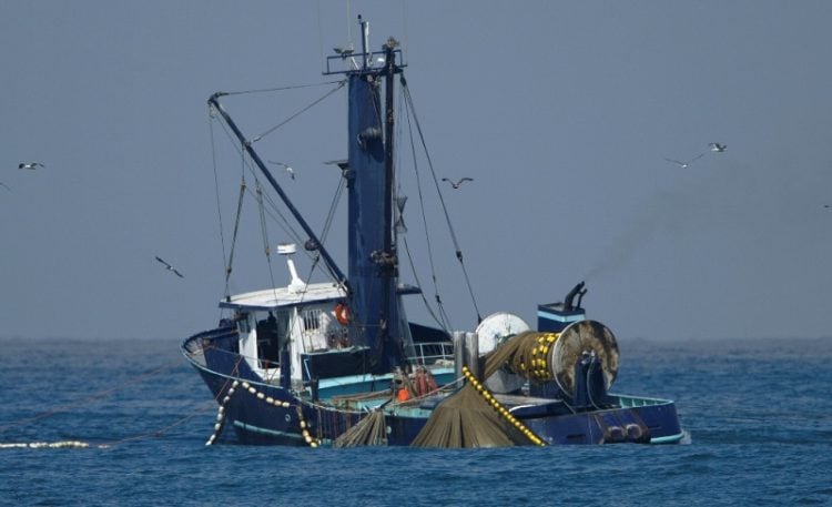 Η υπεραλίευση αδειάζει τη Μεσόγειο